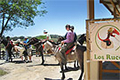 Vida Aventura Nature Park