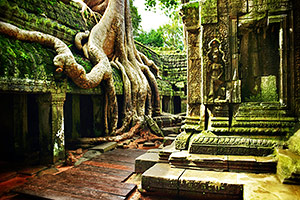 Ta Prohm at Angkor Wat, Cambodia