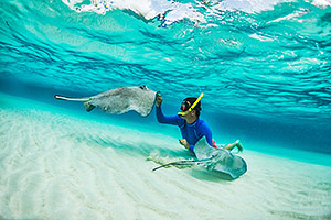 Scuba diver and stingray, Grand Cayman Islands